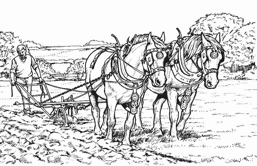 coloriage chevaux labourant un champ